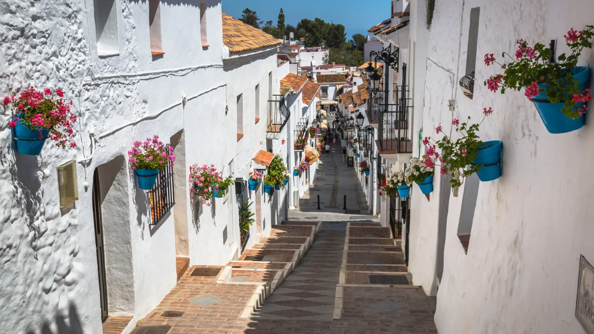 GASTRONOMÍA NAVIDEÑA EN MIJAS