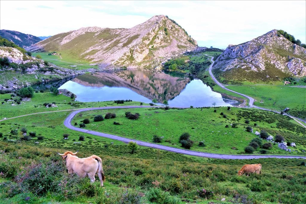 LOS PICOS DE EUROPA: NATURALEZA EN ESTADO PURO