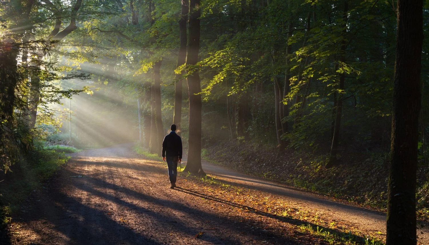 QUÉ ES EL MINDFUL WALKING NIGHT Y CÓMO SURGIÓ