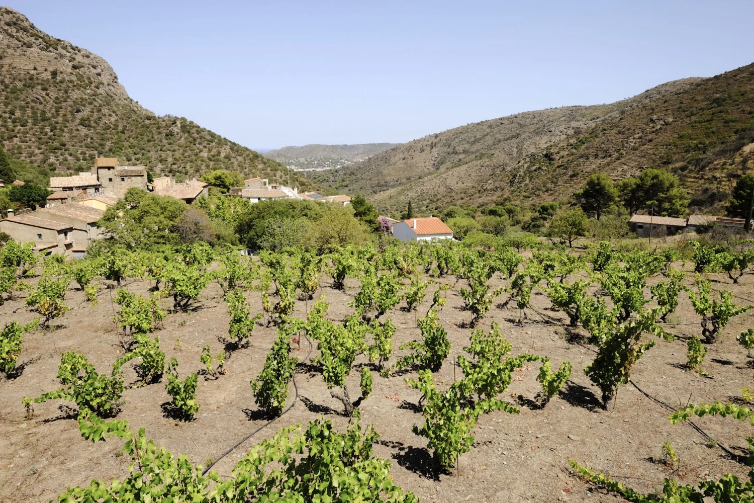 ACTIVIDADES Y EXPERIENCIAS EN SANTA CREU DE RODES