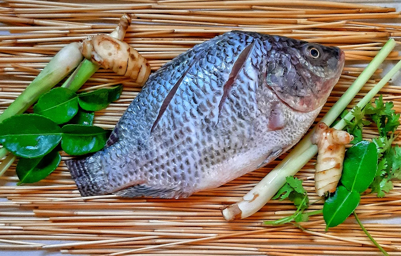 LOS RIESGOS DEL MERCURIO Y EL PLOMO EN LA TILAPIA